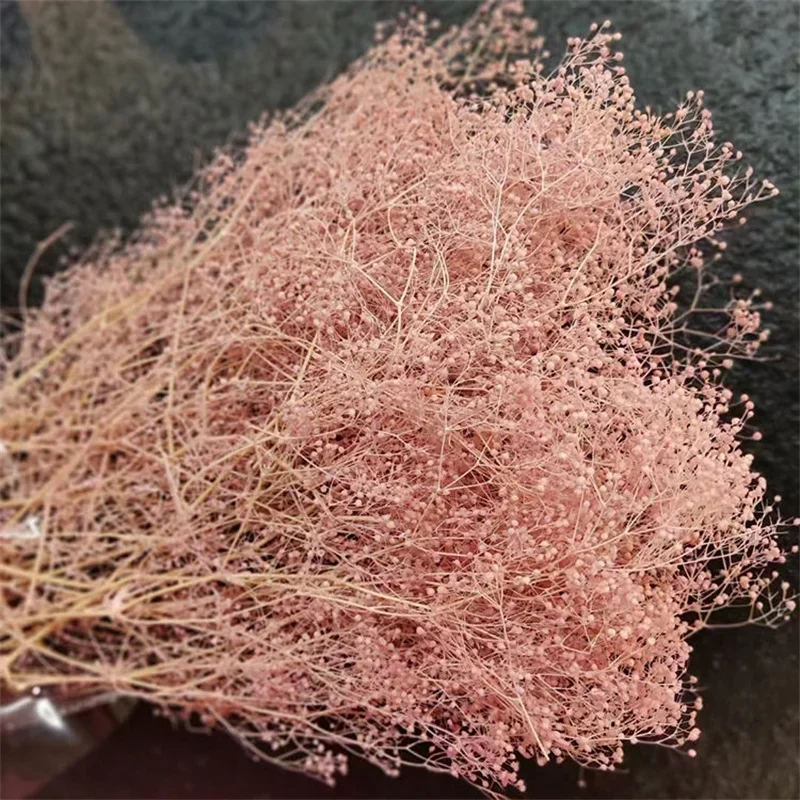 Authentic Dried Pressed White Baby's Breath Popular Mini Gypsophila Ideal for Home Decor, Thoughtful Gifts, Dreamy Weddings
Authentic Dried Pressed White Baby's Breath Popular Mini Gypsophila Ideal for Home Decor, Thoughtful Gifts, Dreamy Weddings