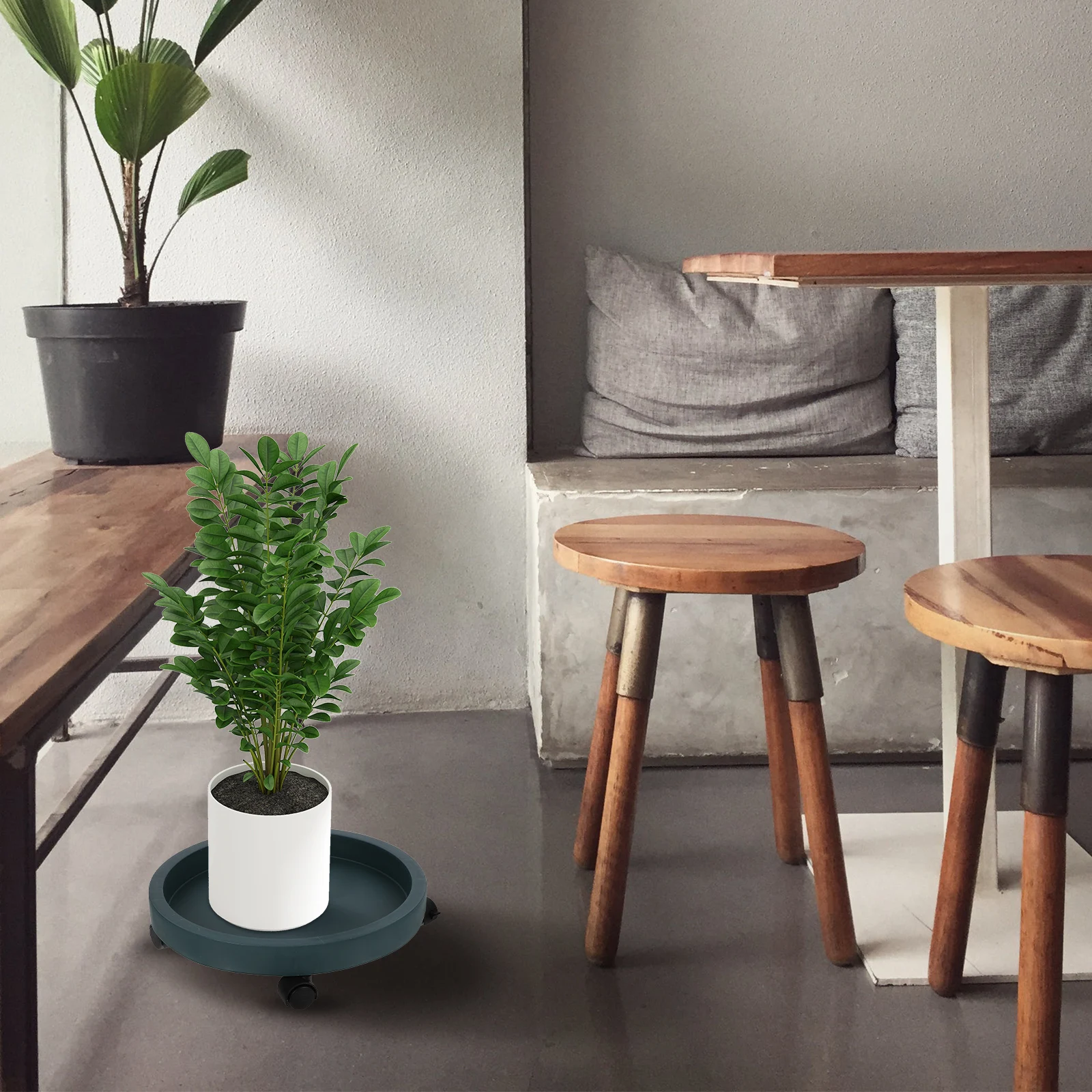 Heavy Duty Round Flower Pot Chassis Mobile Stand with Wheels Indoor Outdoor Use Breathable Tray Easy to Clean Movable
Heavy Duty Round Flower Pot Chassis Mobile Stand with Wheels Indoor Outdoor Use Breathable Tray Easy to Clean Movable