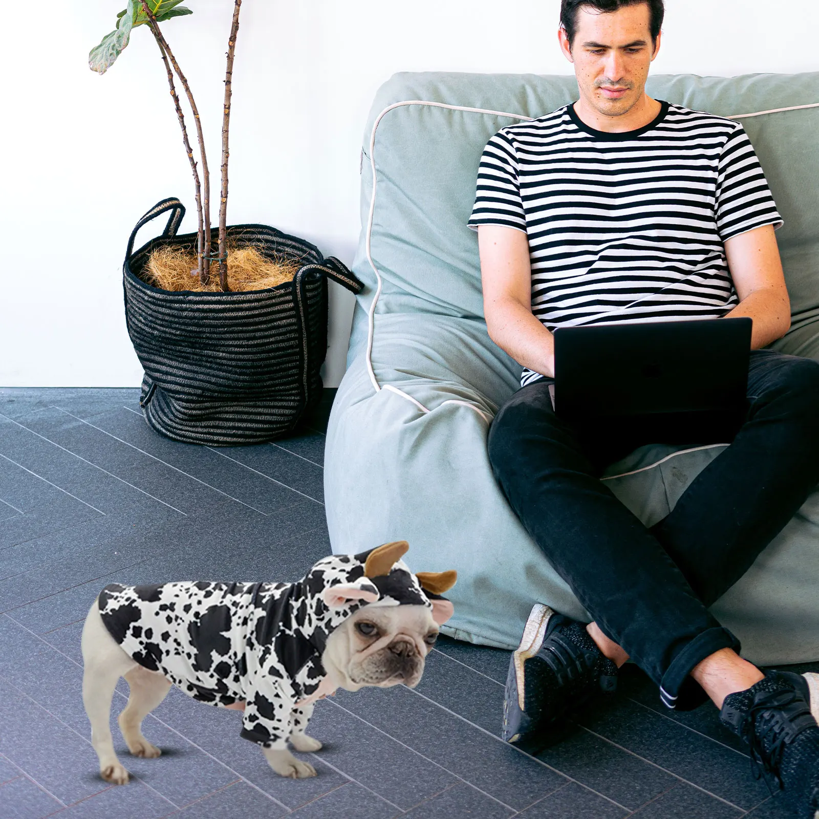 Adorable Cow Style Pet Outfit Dog Cosplay Clothes Exquisite Craft Warm Stylish Comfortable Fit for Photo Shoots Party Events
Adorable Cow Style Pet Outfit Dog Cosplay Clothes Exquisite Craft Warm Stylish Comfortable Fit for Photo Shoots Party Events