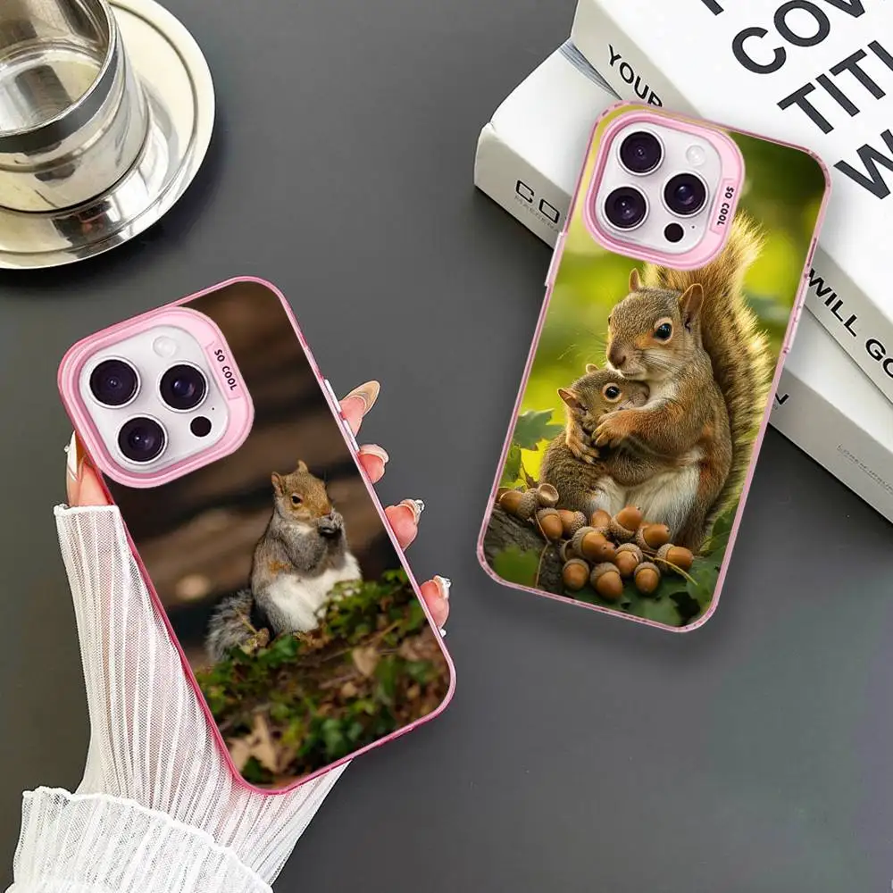 Cute Squirrel Phone Case For iPhone 16,15,14,13,12,11,Mini,Pro,MAX Pink Matte Shockproof Cover
Cute Squirrel Phone Case For iPhone 16,15,14,13,12,11,Mini,Pro,MAX Pink Matte Shockproof Cover