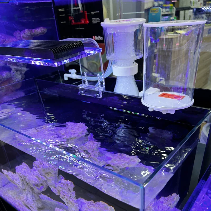 2л 4л аквариум автоматический пополнитель воды задний фильтр резервуар для морской воды резервуар для травы ведро пополнения воды автоматическое
2л 4л аквариум автоматический пополнитель воды задний фильтр резервуар для морской воды резервуар для травы ведро пополнения воды автоматическое