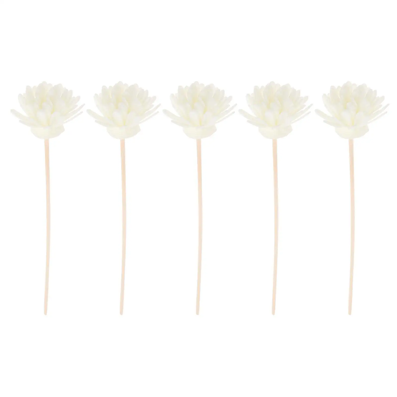 5Sets ChrysanthemumDiffuserReeds EssentialOilSticks 20cmLength 3mmDiameter Rattan Replacement White HomeFragrance DIY Aroma
5Sets ChrysanthemumDiffuserReeds EssentialOilSticks 20cmLength 3mmDiameter Rattan Replacement White HomeFragrance DIY Aroma