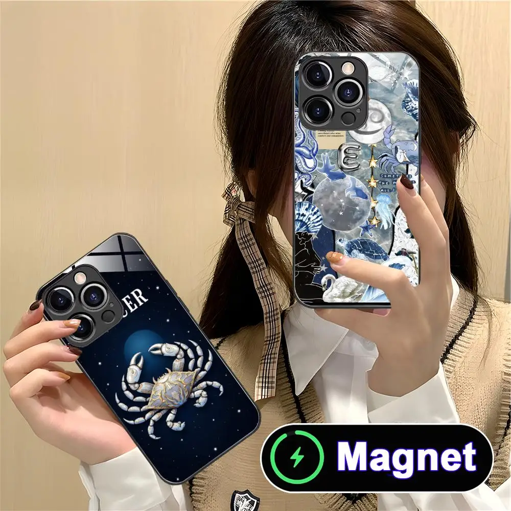 Zodiac Sign Cancer Phone Case for iPhone 17 16 15 14 13 12 11 Air Pro Max Plus Mini Glass Magnet Cover
Zodiac Sign Cancer Phone Case for iPhone 17 16 15 14 13 12 11 Air Pro Max Plus Mini Glass Magnet Cover