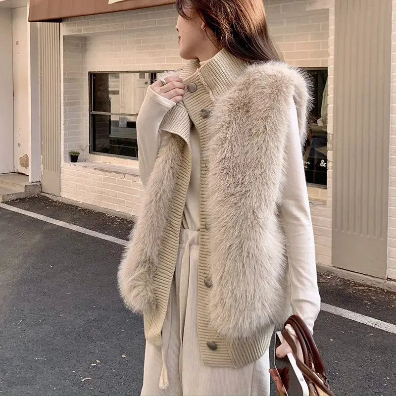 Sweater Mink Fleece Sleeveless Standing Collar Knitted Women Coat Autumn and Winter New Loose Style Elegant Cardigan
Sweater Mink Fleece Sleeveless Standing Collar Knitted Women Coat Autumn and Winter New Loose Style Elegant Cardigan