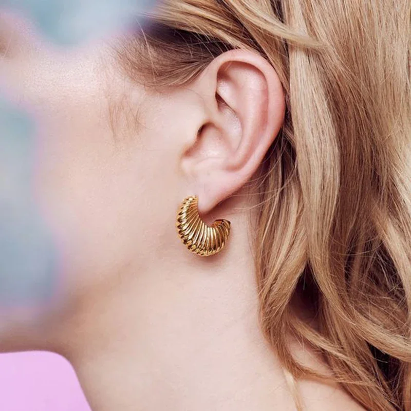 Vintage Gold Plated Striped Moon Stud Earrings for Women Stainless Steel C Shape Circle Small Hoops Statement Jewelry Gift
Vintage Gold Plated Striped Moon Stud Earrings for Women Stainless Steel C Shape Circle Small Hoops Statement Jewelry Gift