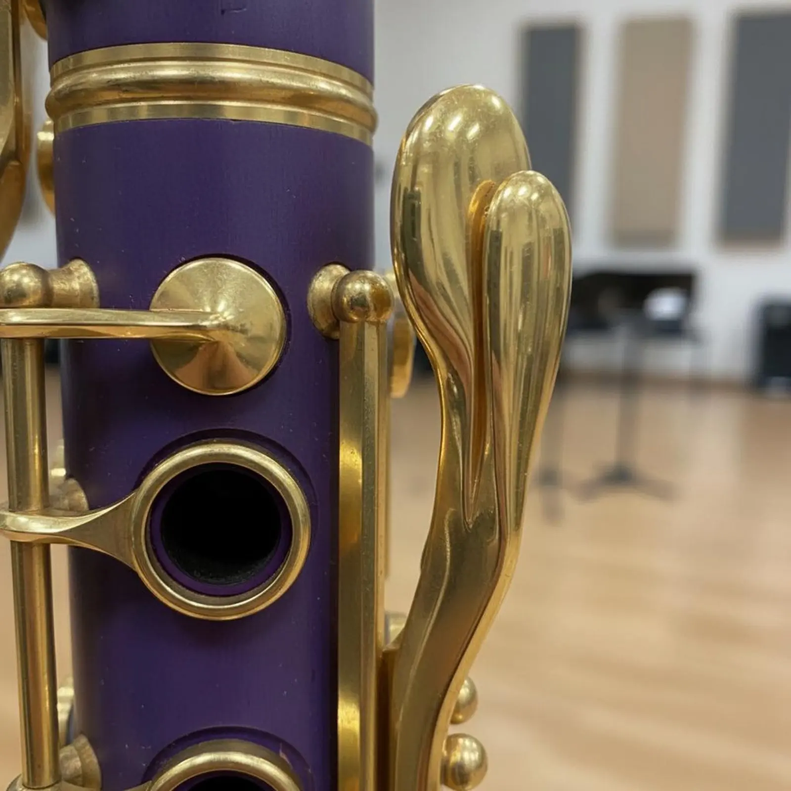B♭ Clarinet Lively Hues B♭ Clarinet With Carrying Case Nickel-Plated Buttons for Beginners, School Band, Music Lessons
B♭ Clarinet Lively Hues B♭ Clarinet With Carrying Case Nickel-Plated Buttons for Beginners, School Band, Music Lessons