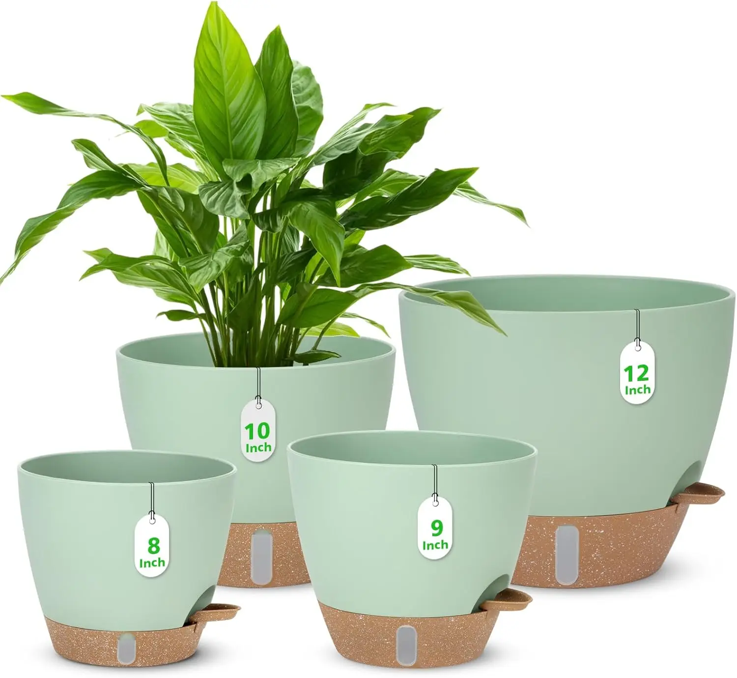 Self-Watering Plant Pots Set, 8-12 inch, with Water Level Indicator, Drainage & Saucer, for Indoor/Outdoor
Self-Watering Plant Pots Set, 8-12 inch, with Water Level Indicator, Drainage & Saucer, for Indoor/Outdoor