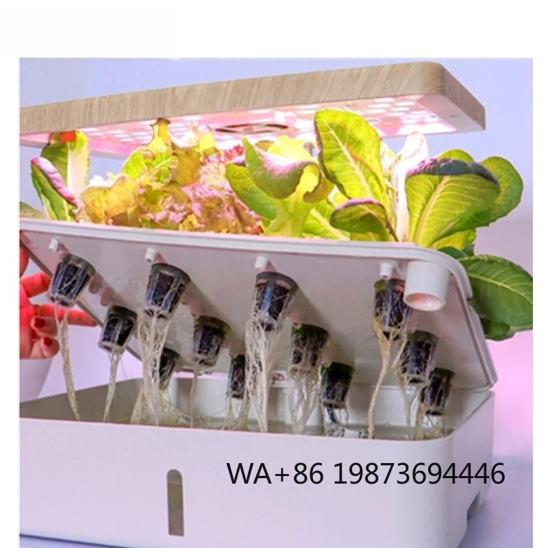 Home Indoor Desk Smart Green Garden, Equipped with LED Grow Light
Home Indoor Desk Smart Green Garden, Equipped with LED Grow Light
