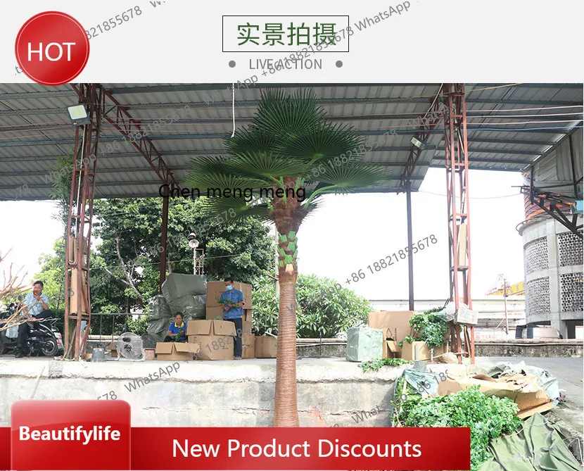 zq10 Имитация веера Подсолнух Дерево В помещении и на открытом воздухе Большая пальма Тропическая имитация Pukui Живописная зона Ландшафтный дизайн Ложный уличный T
zq10 Имитация веера Подсолнух Дерево В помещении и на открытом воздухе Большая пальма Тропическая имитация Pukui Живописная зона Ландшафтный дизайн Ложный уличный T