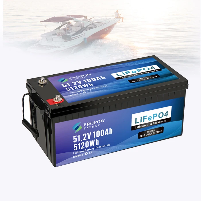 Durable Ultra Safe High Performance LiFePO4 48V Lithium Battery 51.2V 100Ah For Marine
Durable Ultra Safe High Performance LiFePO4 48V Lithium Battery 51.2V 100Ah For Marine