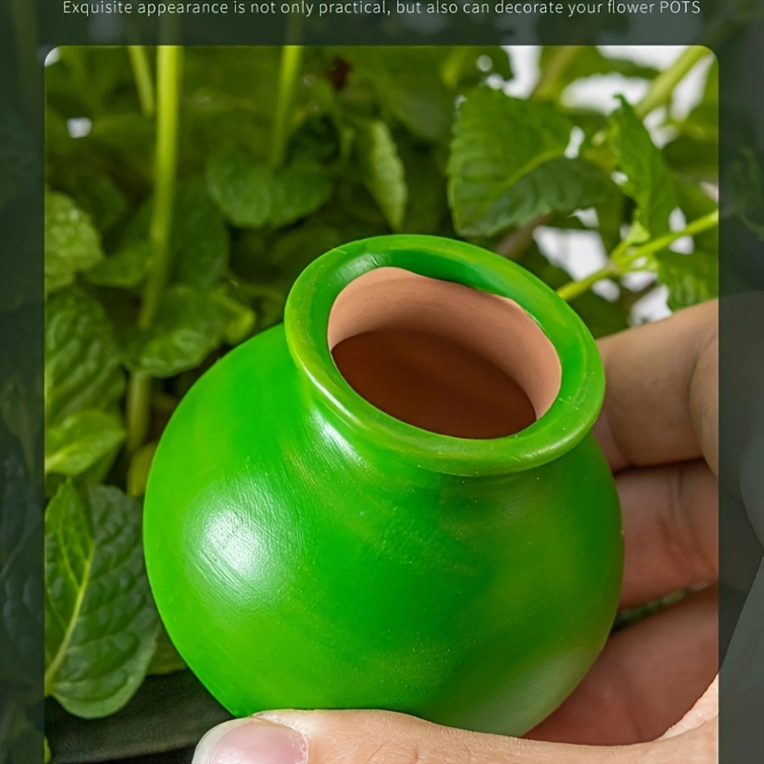 Packs Small Wine Bottle Mouth Plant Watering Globes Automatic Plant Watering Bulbs Irrigation Terracotta Watering Device Decorat
Packs Small Wine Bottle Mouth Plant Watering Globes Automatic Plant Watering Bulbs Irrigation Terracotta Watering Device Decorat