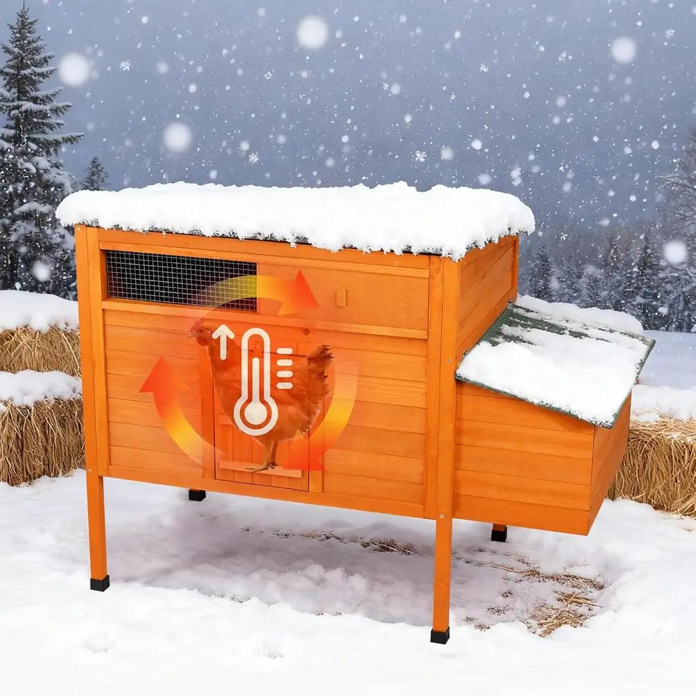 Всепогодный изолированный курятник с приподнятыми ножками, крышей асфальту, съемным слоем ПВХ и коробкой для гнезда
Всепогодный изолированный курятник с приподнятыми ножками, крышей асфальту, съемным слоем ПВХ и коробкой для гнезда