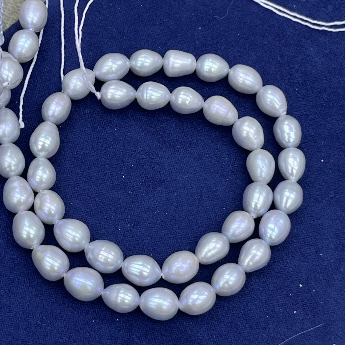 7-8mmAAAA Natural Freshwater Pearl Gray Rice Beads Fat Isolate Bead Jewelry Make DIY Necklace Bracelet Accessories Women Wedding 
7-8mmAAAA Natural Freshwater Pearl Gray Rice Beads Fat Isolate Bead Jewelry Make DIY Necklace Bracelet Accessories Women Wedding