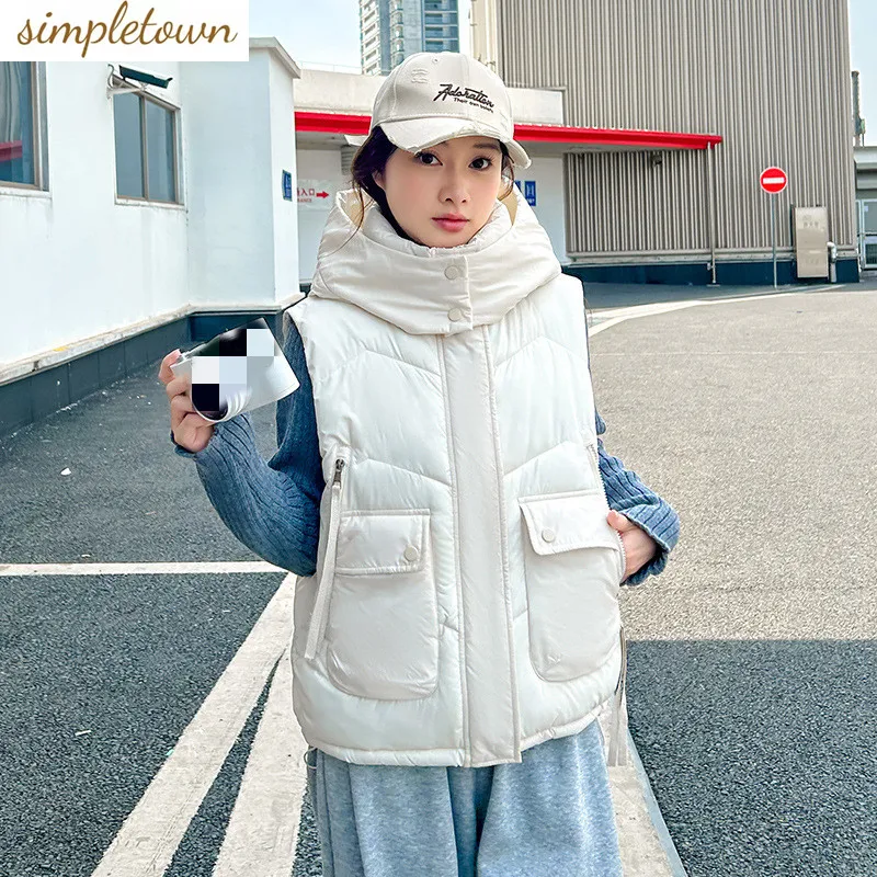 2025 autumn and winter European and American style new casual hooded sleeveless fashionable outerwear vest
2025 autumn and winter European and American style new casual hooded sleeveless fashionable outerwear vest