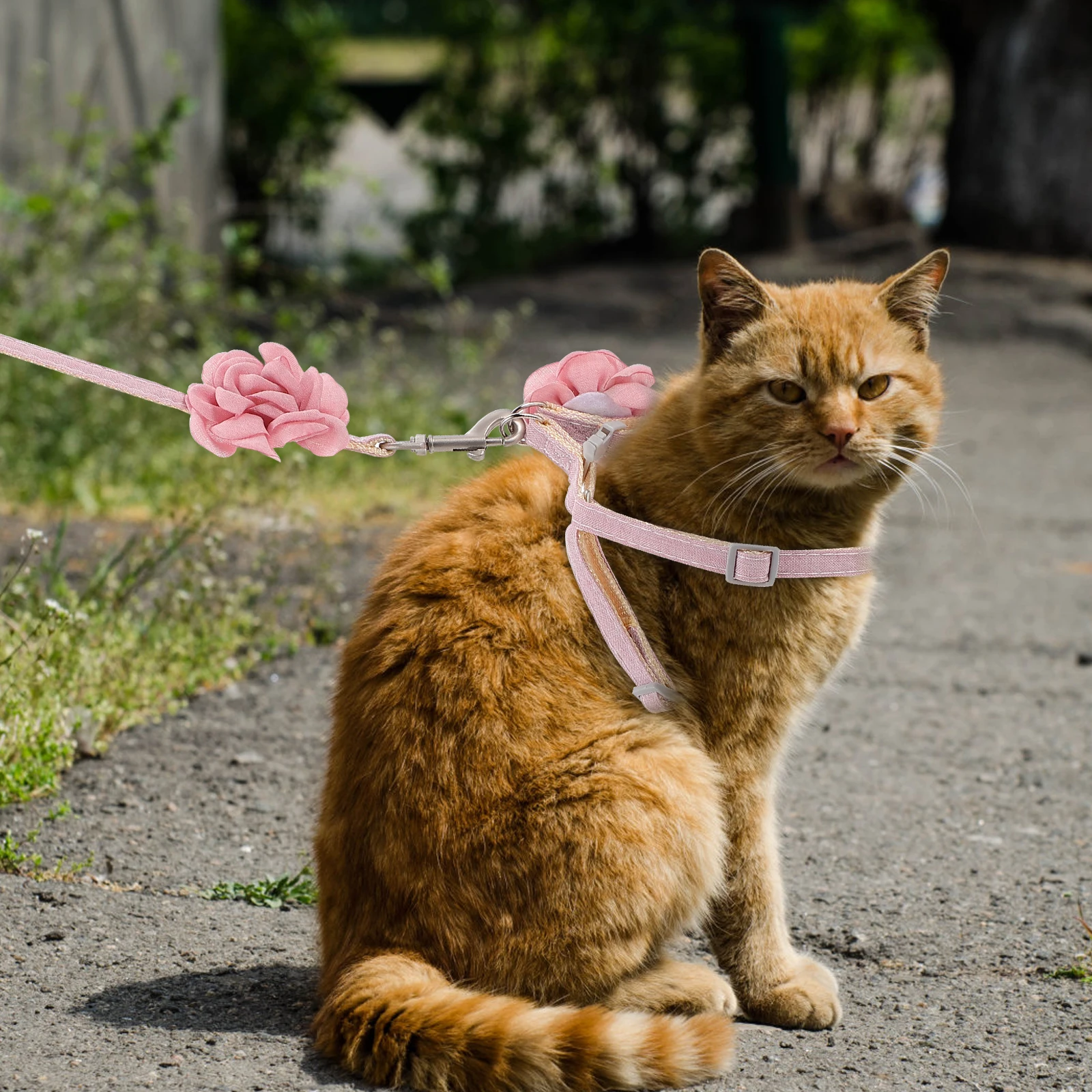 Cat Harness Leash Adjustable Lightweight Portable Soft Comfortable Pet Traction Rope Outdoor Walking Small Animals
Cat Harness Leash Adjustable Lightweight Portable Soft Comfortable Pet Traction Rope Outdoor Walking Small Animals
