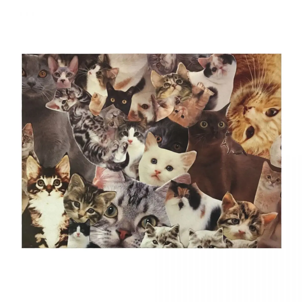 Cat Collage Throw Blanket Kid'S halloween Soft Sofas Blankets
Cat Collage Throw Blanket Kid'S halloween Soft Sofas Blankets