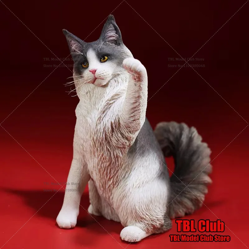 Mr.Z No.45 1/6 Scale Lifelike Maine Coon Resin Animal Cute Fortune Cat Carve Model For 12'' Action Figure Scene Accessories Toys
Mr.Z No.45 1/6 Scale Lifelike Maine Coon Resin Animal Cute Fortune Cat Carve Model For 12'' Action Figure Scene Accessories Toys