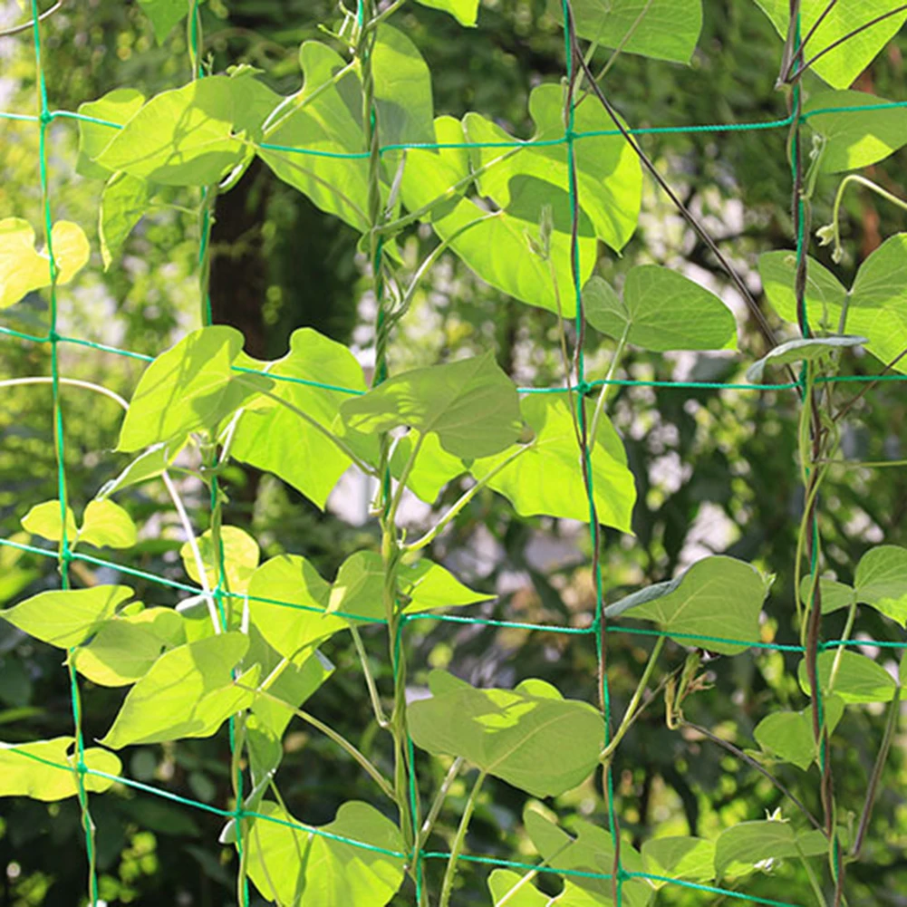 Garden Trellis Netting Polyethylene Mesh 10 by 10cm for Climbing Plants like Tomatoes Beans Grapes Peas Vertical Growth Net
Garden Trellis Netting Polyethylene Mesh 10 by 10cm for Climbing Plants like Tomatoes Beans Grapes Peas Vertical Growth Net