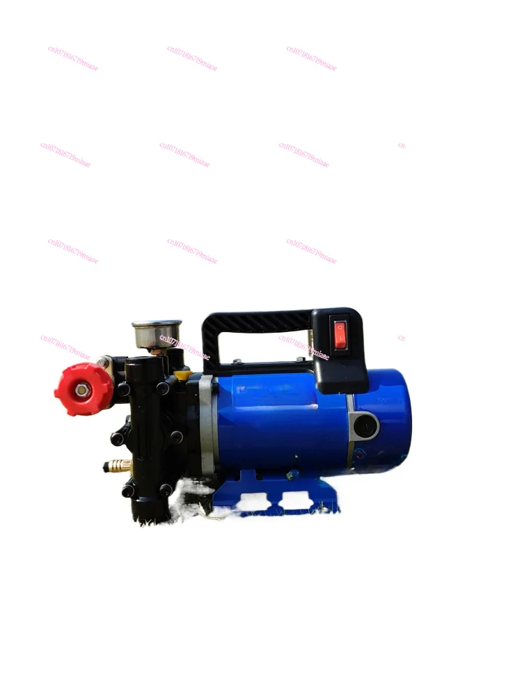 Double cylinder plunger pump sprayer 12V48V60V220V high pressure agricultural electric
Double cylinder plunger pump sprayer 12V48V60V220V high pressure agricultural electric