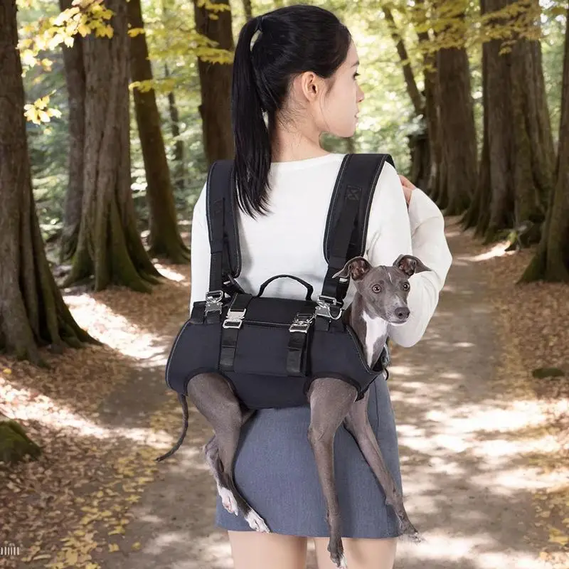 Dog Lift Puppy Sling Carrier Assistant Multi-Functional Shock Absorbing Dog Lift Harness For Training Recovery Puppy Elderly
Dog Lift Puppy Sling Carrier Assistant Multi-Functional Shock Absorbing Dog Lift Harness For Training Recovery Puppy Elderly