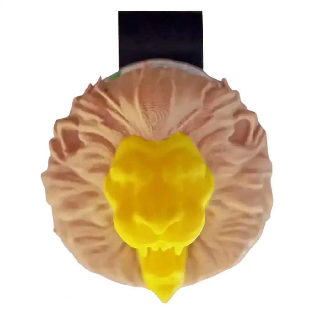 Pill Holder for Car Cute Head Visor Clip Organizer for Car Sunshade Secure Holder for Small Items Universal Fit Vehicles Lion
Pill Holder for Car Cute Head Visor Clip Organizer for Car Sunshade Secure Holder for Small Items Universal Fit Vehicles Lion