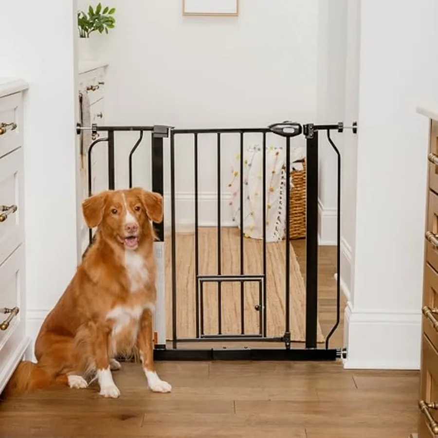 Carlson 29.5 36.5" Extra Wide Dog Gate with Small Pet Door, Walk-Through Pressure Mounted Metal Indoor Pet Safety Gate, Black,
Carlson 29.5 36.5" Extra Wide Dog Gate with Small Pet Door, Walk-Through Pressure Mounted Metal Indoor Pet Safety Gate, Black,