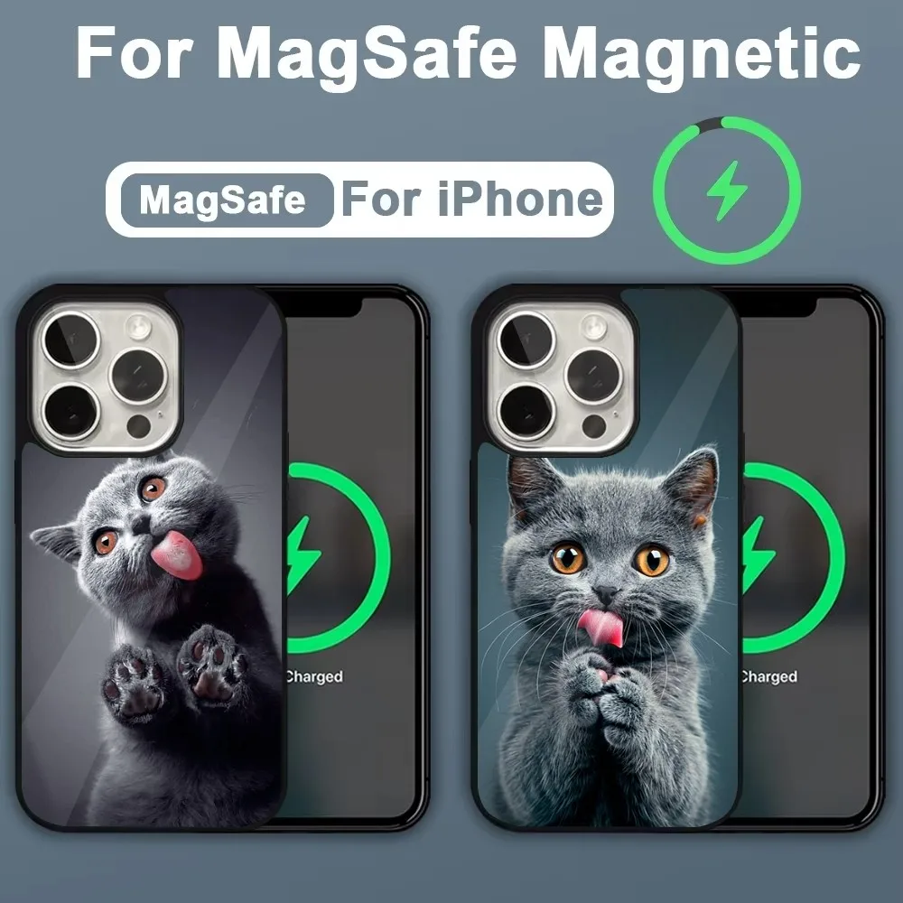 Animal Pet Cat Cute Phone Case For iPhone 16,15,14,13,12,11,Plus,Pro,Max,Mini Magsafe Magnetic Wireless Charging
Animal Pet Cat Cute Phone Case For iPhone 16,15,14,13,12,11,Plus,Pro,Max,Mini Magsafe Magnetic Wireless Charging