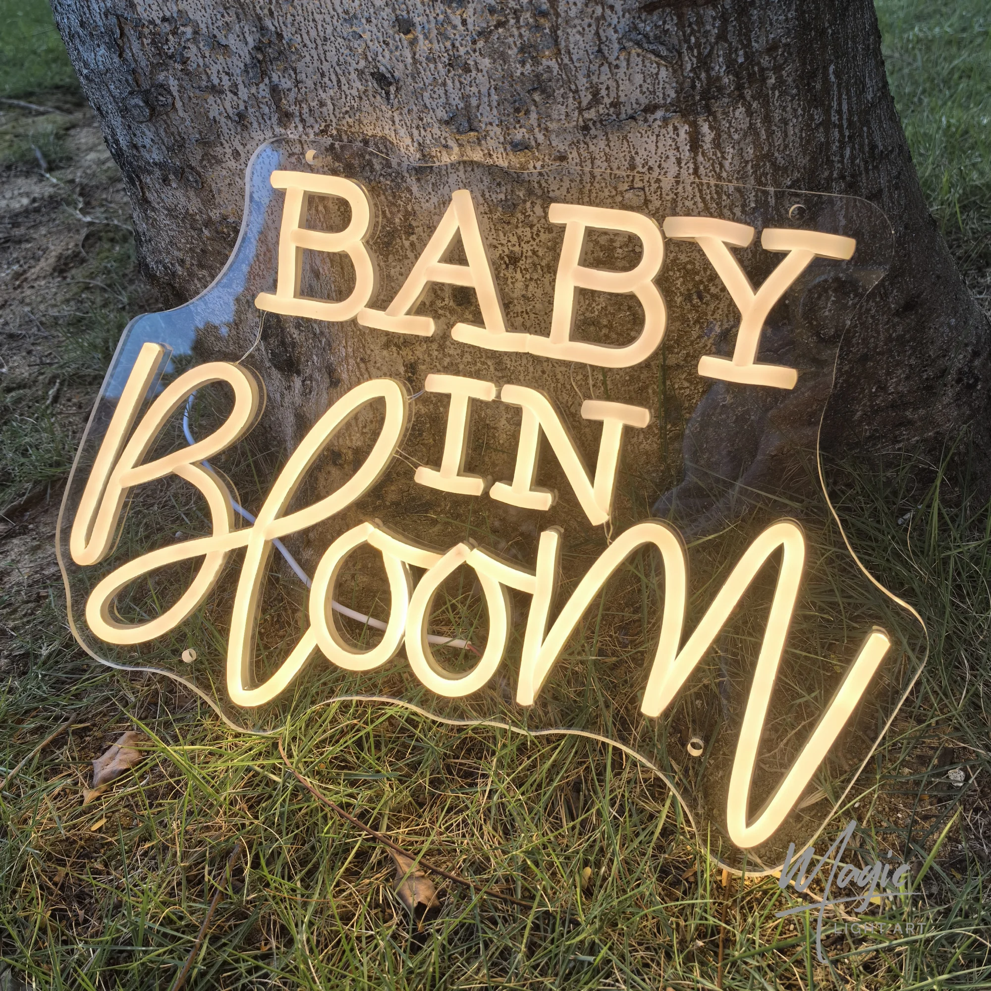 Baby In Bloom Neon Signs Led Gender Reveal Party Boy/Girl Decorations Neon Letters Signs Party Supplies Baby Shower Yard Signs
Baby In Bloom Neon Signs Led Gender Reveal Party Boy/Girl Decorations Neon Letters Signs Party Supplies Baby Shower Yard Signs