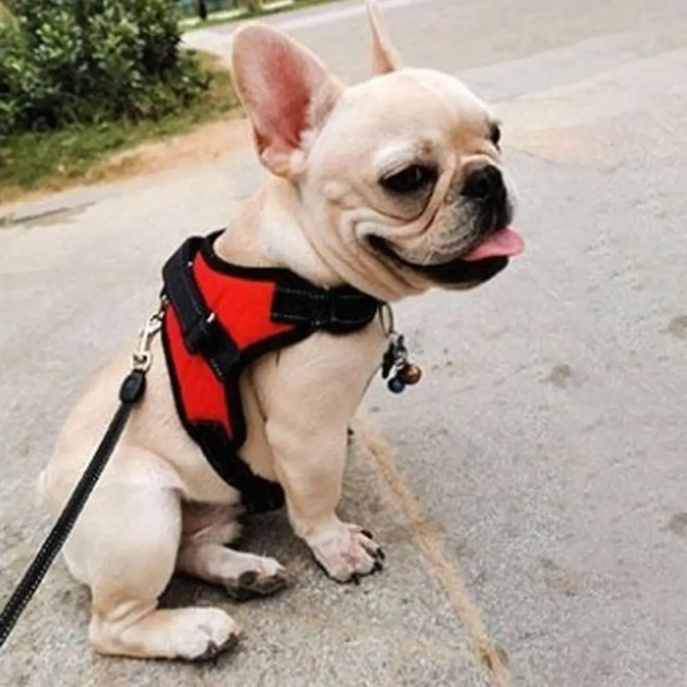 Прочный нейлоновый шлейка для собак и кошек, дышащий светоотражающий нагрудный ремень для домашних животных с поводком, регулируемый жилет для домашних животных, всесезонный
Прочный нейлоновый шлейка для собак и кошек, дышащий светоотражающий нагрудный ремень для домашних животных с поводком, регулируемый жилет для домашних животных, всесезонный