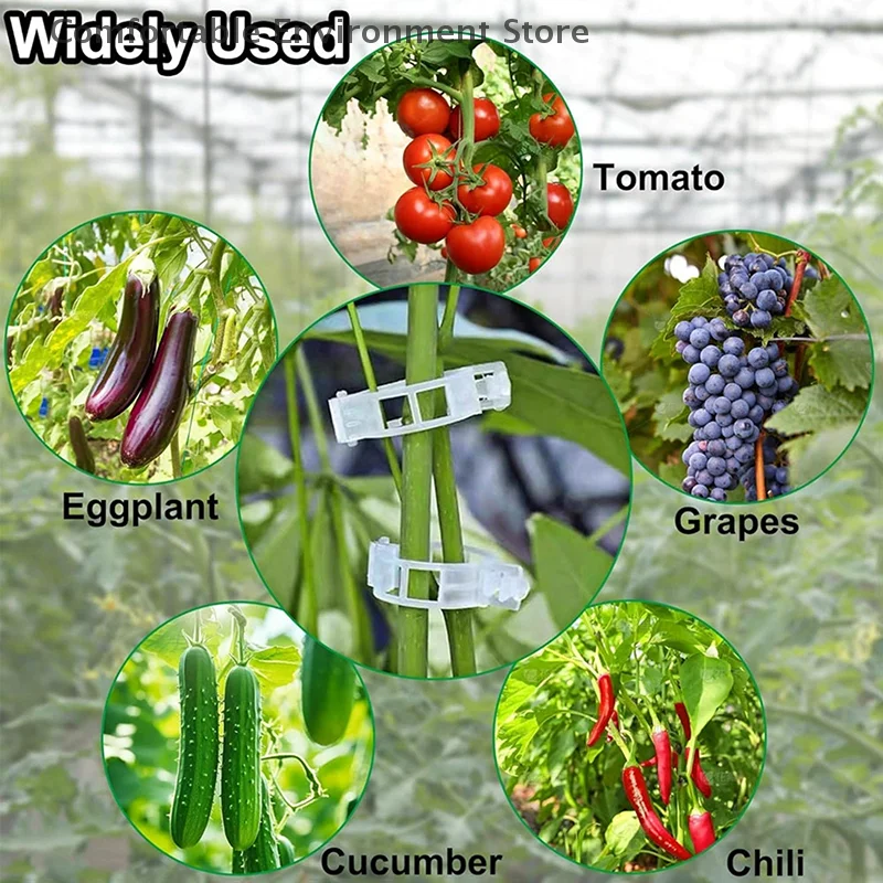 New arrivals~100 pcs Plant Clamps, Plastic Plant Clamps For Climbing Plants, Reusable Plant Support Clamps
New arrivals~100 pcs Plant Clamps, Plastic Plant Clamps For Climbing Plants, Reusable Plant Support Clamps