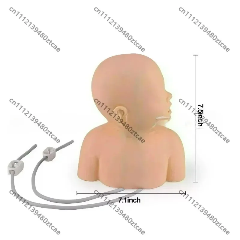 Baby Pediatric IV Practice Simulation Head Set Venipuncture Injection Model Clinical Nursing Skill Training Teaching Tool
Baby Pediatric IV Practice Simulation Head Set Venipuncture Injection Model Clinical Nursing Skill Training Teaching Tool