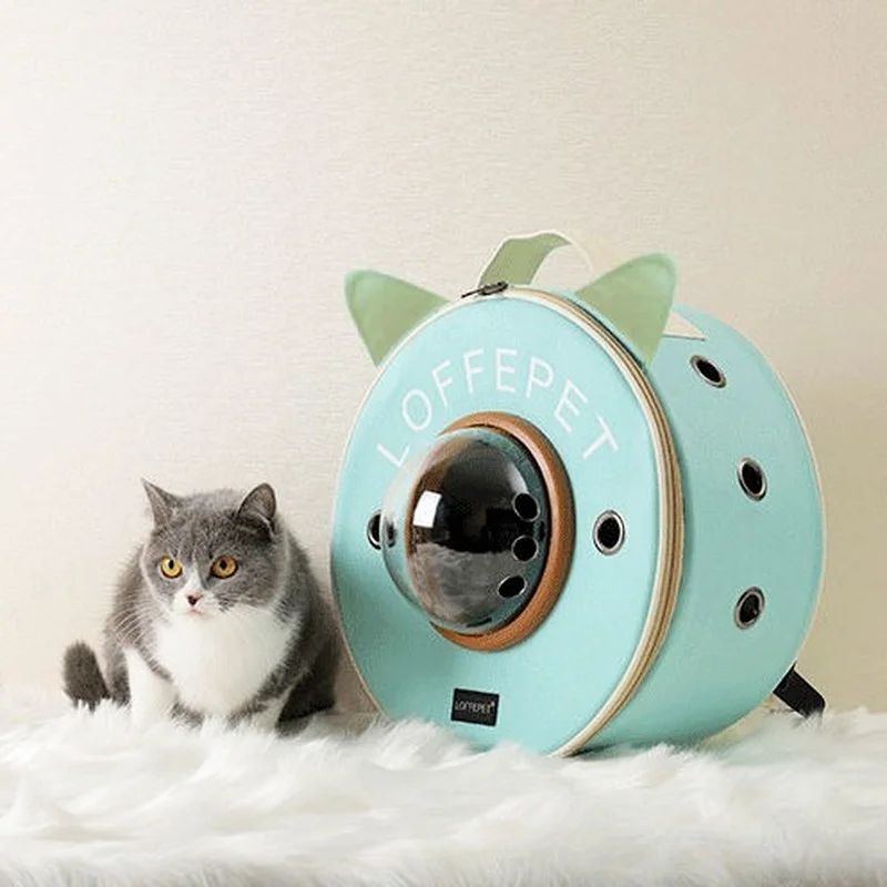 Cute round cat bag breathable space capsule pet backpack outing bag cat cage portable cabin bag shoulder dog backpack
Cute round cat bag breathable space capsule pet backpack outing bag cat cage portable cabin bag shoulder dog backpack