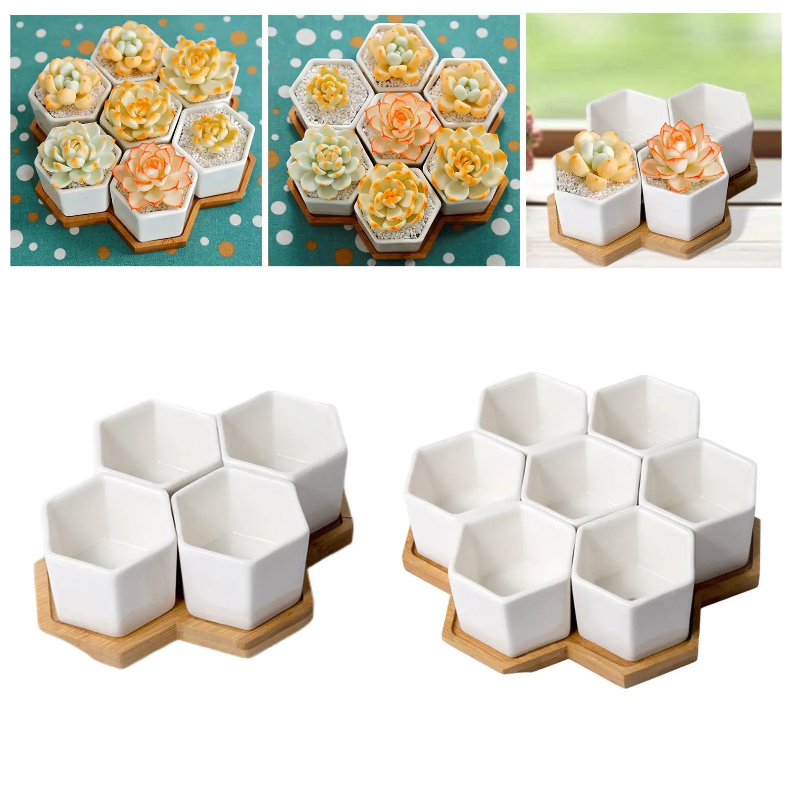 Hexagonal Pot Planters with with Bamboo Holder Creative Flower Pot for Table Desk Decoration
Hexagonal Pot Planters with with Bamboo Holder Creative Flower Pot for Table Desk Decoration