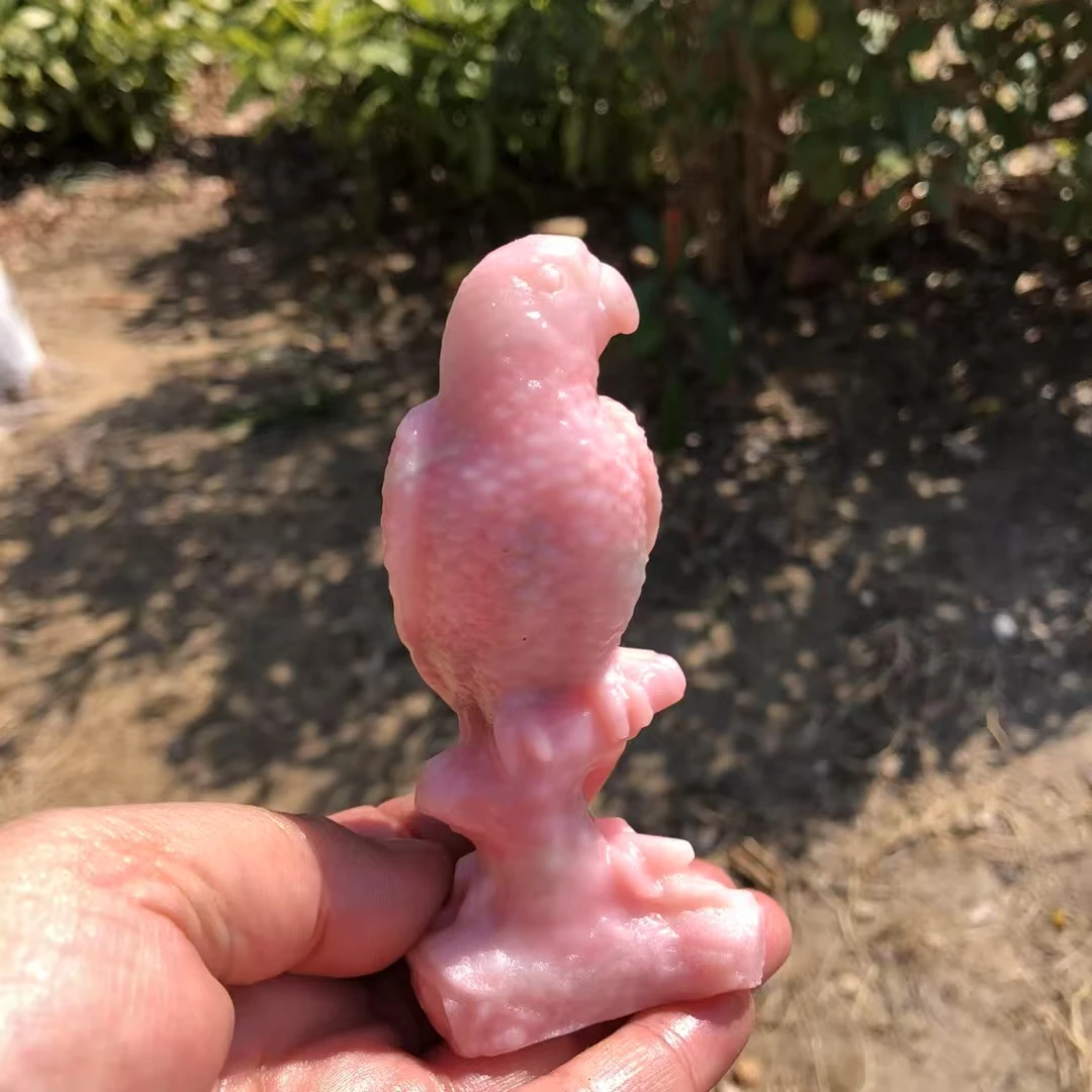 Natural Crystal Pink opal bird Carving Healing Animals Crafts Bird Home Decoration Ornament
Natural Crystal Pink opal bird Carving Healing Animals Crafts Bird Home Decoration Ornament