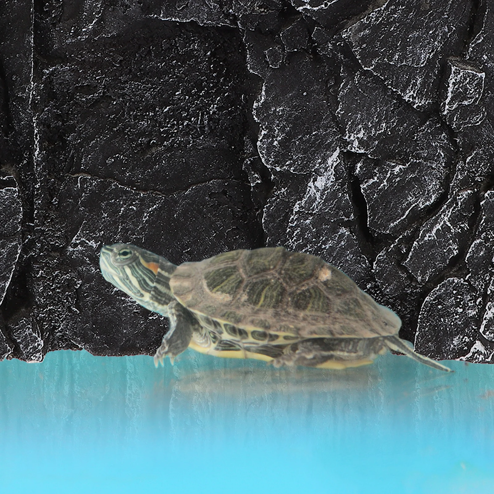Rock Decorative Panels Reptile Background Tank Boards Aquarium Rocks Decorations Lizard Backdrop Three-dimensional
Rock Decorative Panels Reptile Background Tank Boards Aquarium Rocks Decorations Lizard Backdrop Three-dimensional