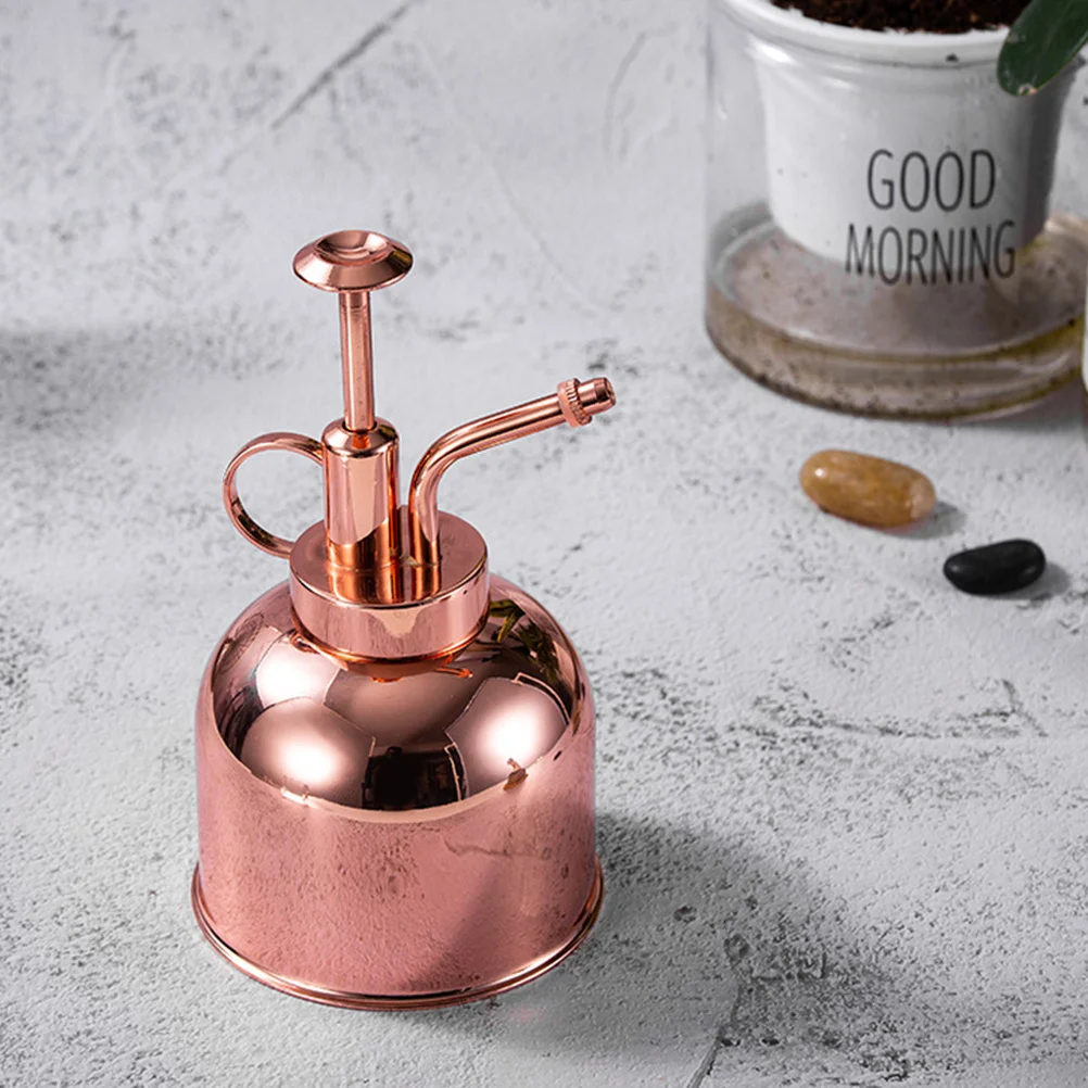 1Pcs Vintage Plant Stainless Steel Succulent Watering Bottle Pump Design Precise Watering for Flowers Plants
1Pcs Vintage Plant Stainless Steel Succulent Watering Bottle Pump Design Precise Watering for Flowers Plants