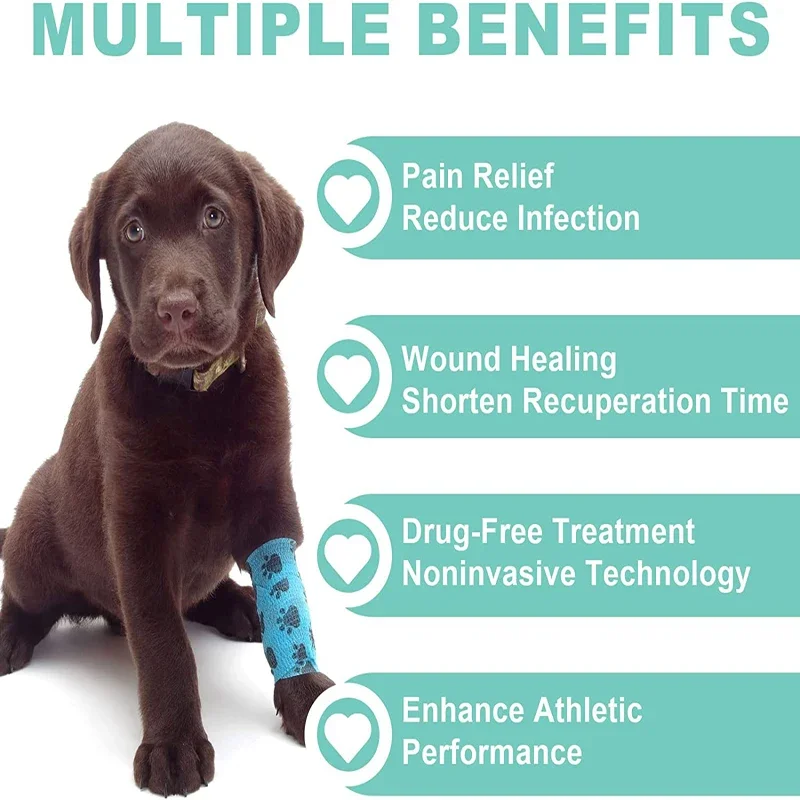 Cold Laser Therapy Vet Device 808nm Wavelength Handheld Red Light Therapy Pet for Arthritis Treatment Pain Relief&Skin Pain
Cold Laser Therapy Vet Device 808nm Wavelength Handheld Red Light Therapy Pet for Arthritis Treatment Pain Relief&Skin Pain