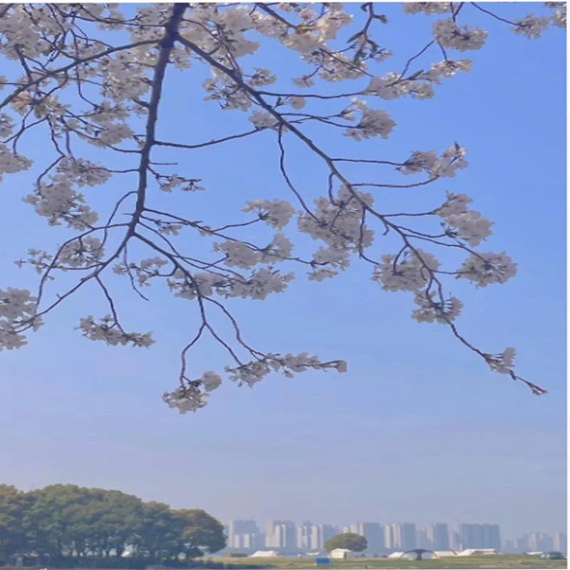 Holybro Micro M9N GPS с IST8310 Цифровой компас Керамическая патч-антенна 32X26 мм для радиоуправляемого самолета FPV Дрон дальнего действия
Holybro Micro M9N GPS с IST8310 Цифровой компас Керамическая патч-антенна 32X26 мм для радиоуправляемого самолета FPV Дрон дальнего действия