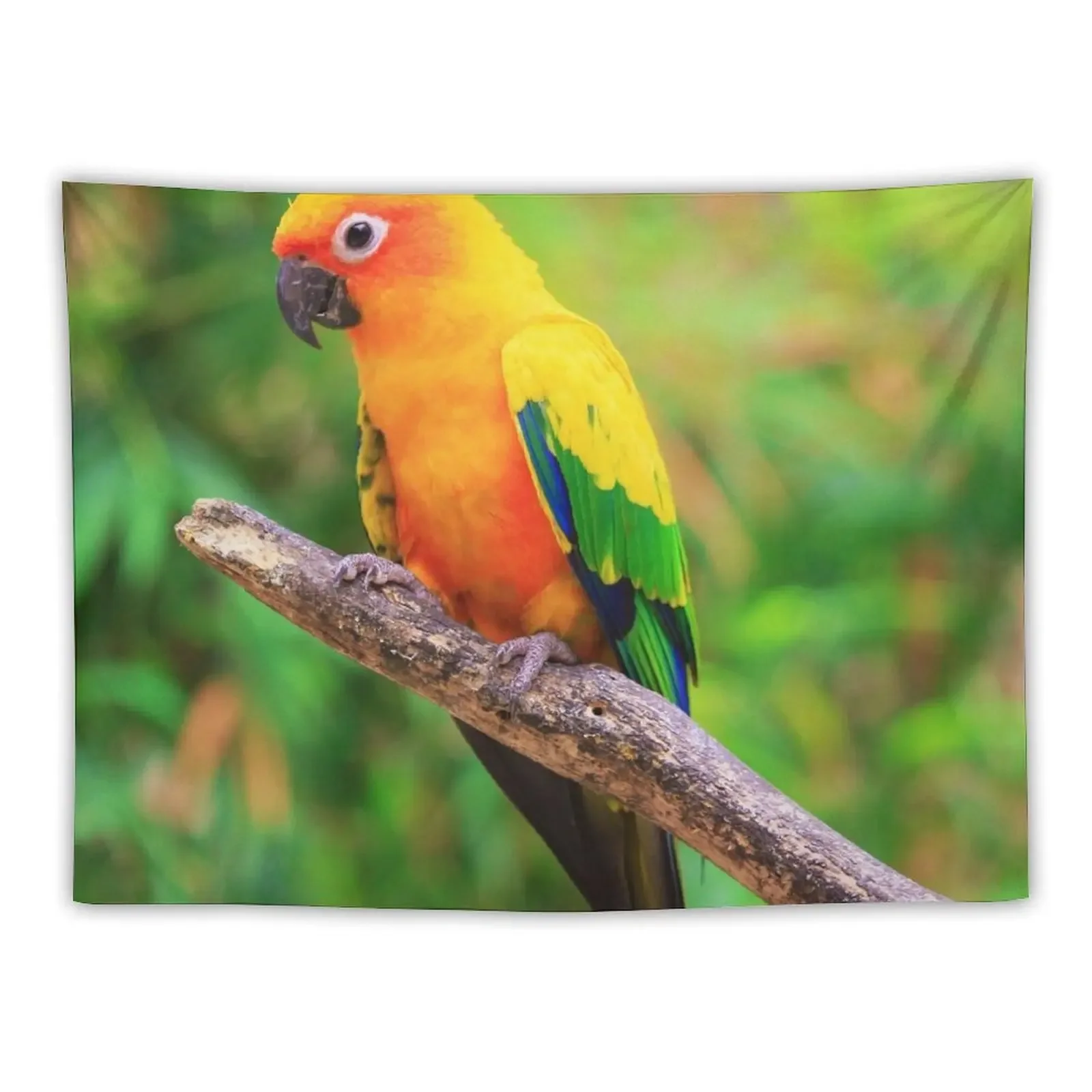 Sun Conure Photo Tapestry Decorative Wall Room Aesthetic House Decorations Tapestry
Sun Conure Photo Tapestry Decorative Wall Room Aesthetic House Decorations Tapestry