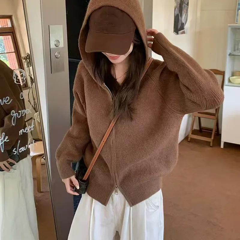 Autumn Winter Women's Korean Simple Long Sleeve Sweater Soft Cozy Knitted Open Cardigan Double Zipper Loose Fit Lazy Style New
Autumn Winter Women's Korean Simple Long Sleeve Sweater Soft Cozy Knitted Open Cardigan Double Zipper Loose Fit Lazy Style New