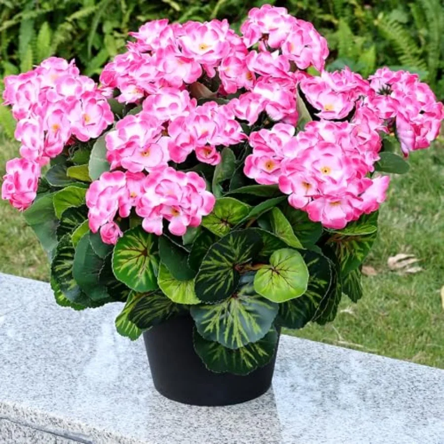 Set of 2 Artificial Flowers Potted for Outdoor, Pre-Made Faux Geranium Plants in Pots UV Resistant Silk Fake Flower Large Potte
Set of 2 Artificial Flowers Potted for Outdoor, Pre-Made Faux Geranium Plants in Pots UV Resistant Silk Fake Flower Large Potte