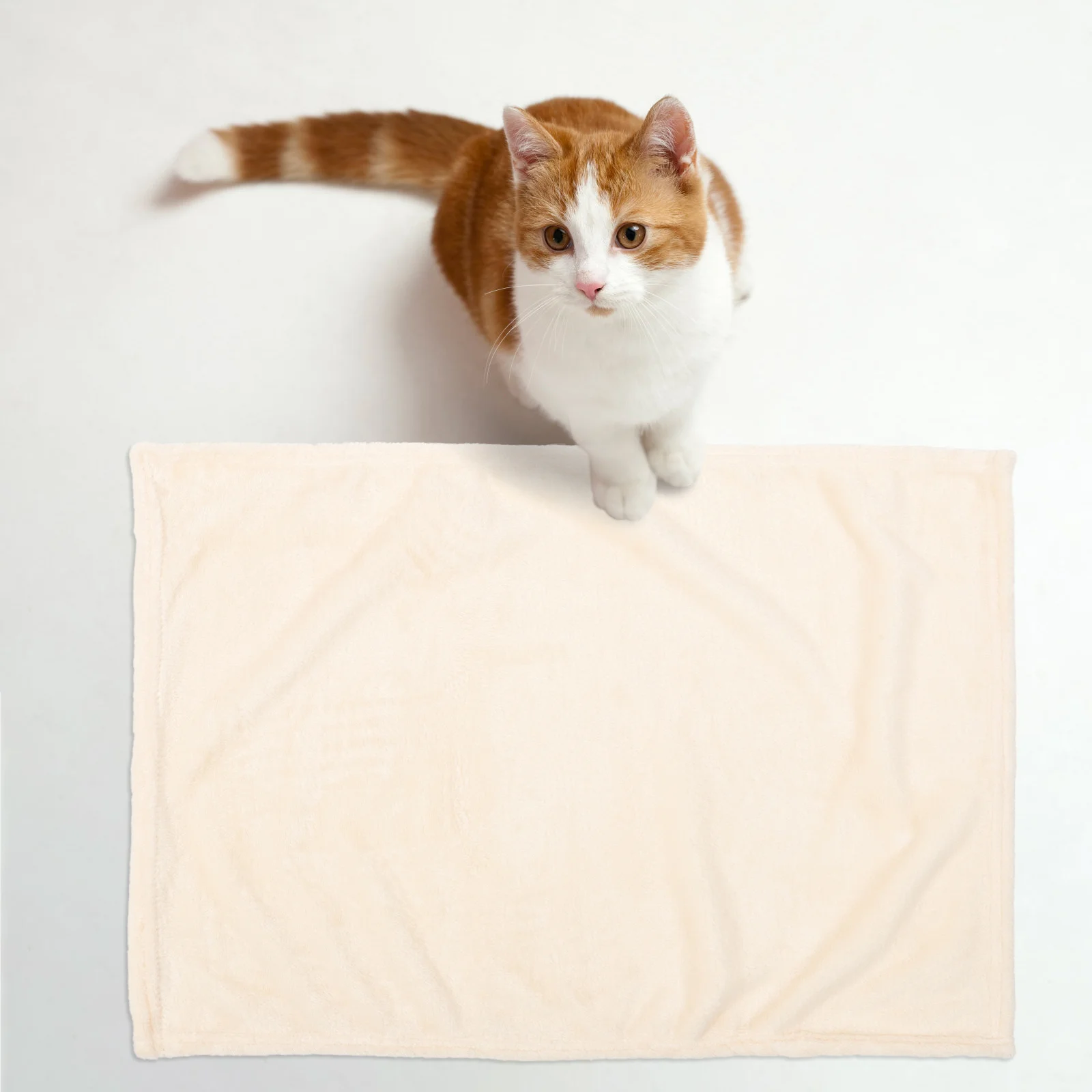 Warm Coral Fleece Pet Blanket Dog Cat Bed Sofa Throw Blanket Soft Comfortable Reusable Small Animal Cage Sleeping Mat Winter
Warm Coral Fleece Pet Blanket Dog Cat Bed Sofa Throw Blanket Soft Comfortable Reusable Small Animal Cage Sleeping Mat Winter