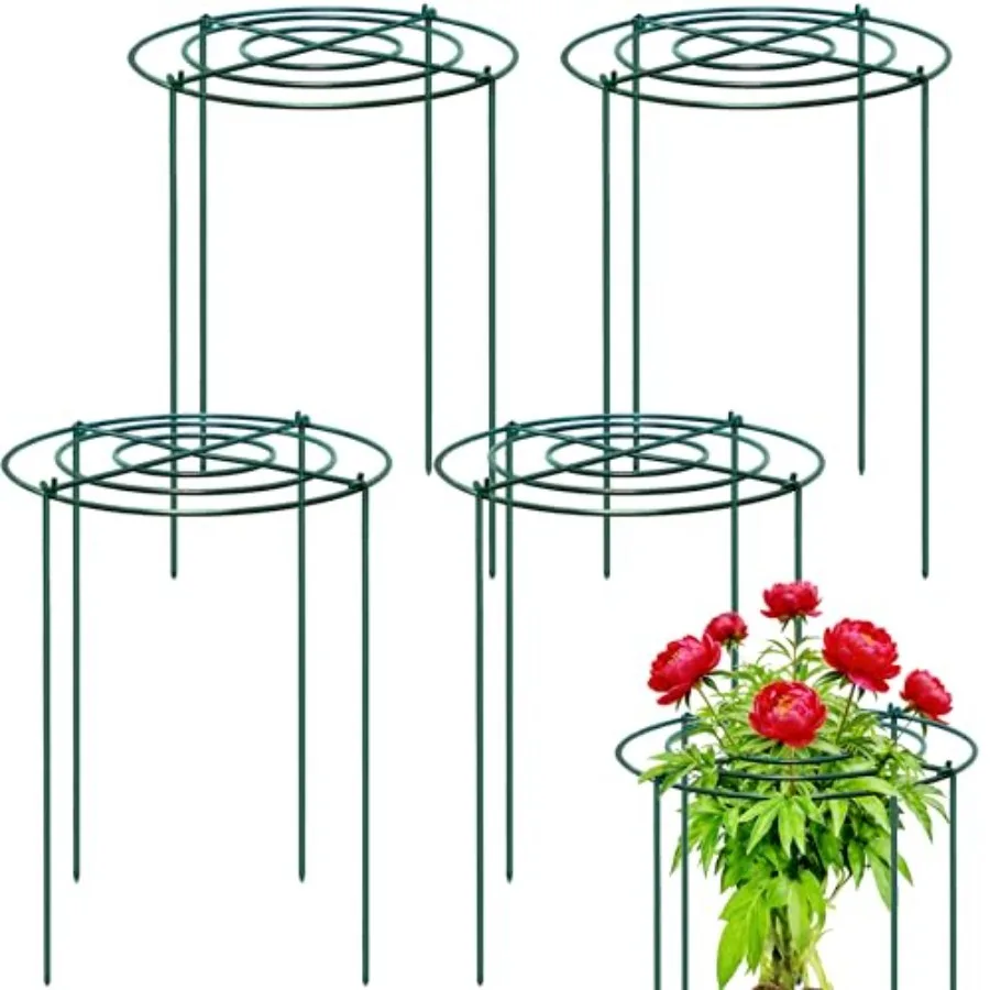 Peony Support Cage for Garden Use, Heavy Duty Metal, Black, 4 Sets with 24 Dia x 32 High Hoops Grids and 4 Thickened 6mm Legs f
Peony Support Cage for Garden Use, Heavy Duty Metal, Black, 4 Sets with 24 Dia x 32 High Hoops Grids and 4 Thickened 6mm Legs f