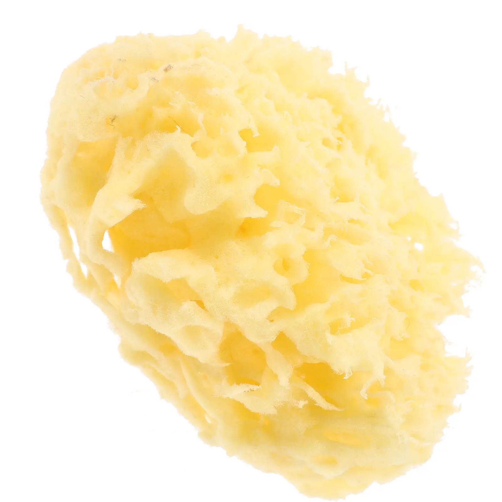 Honeycomb Body Sponge Gentle Scrubber Baby Bath Soft Natural Shower Sponge for Kids Sensitive Skin Cleansing Shower Sponges
Honeycomb Body Sponge Gentle Scrubber Baby Bath Soft Natural Shower Sponge for Kids Sensitive Skin Cleansing Shower Sponges