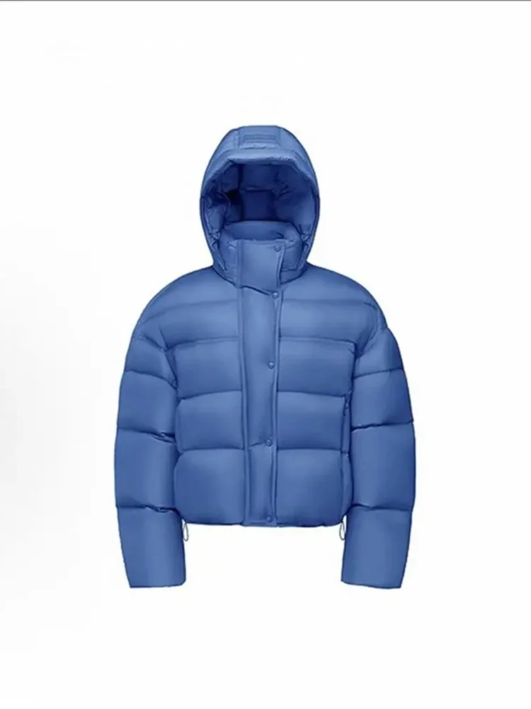 Синяя утепленная хлопковая куртка с капюшоном для женщин, зимнее теплое пальто в корейском стиле, свободный крой, длинный рукав
Синяя утепленная хлопковая куртка с капюшоном для женщин, зимнее теплое пальто в корейском стиле, свободный крой, длинный рукав