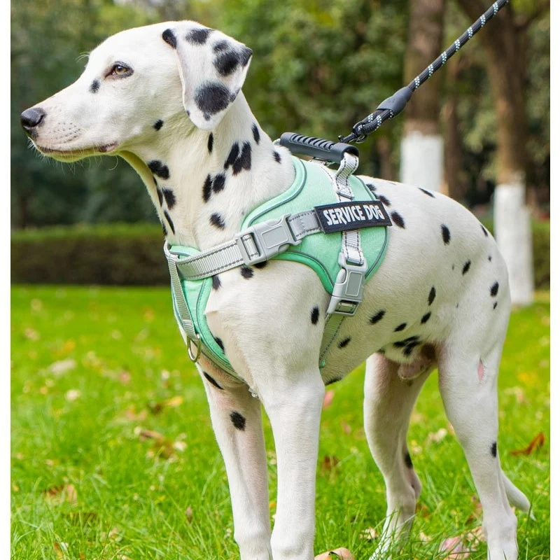 Lightweight Dog Harness with Handle Waterproof Reflective Explosion-Proof Vest Harness for Small and Medium Dogs All Dogs size
Lightweight Dog Harness with Handle Waterproof Reflective Explosion-Proof Vest Harness for Small and Medium Dogs All Dogs size