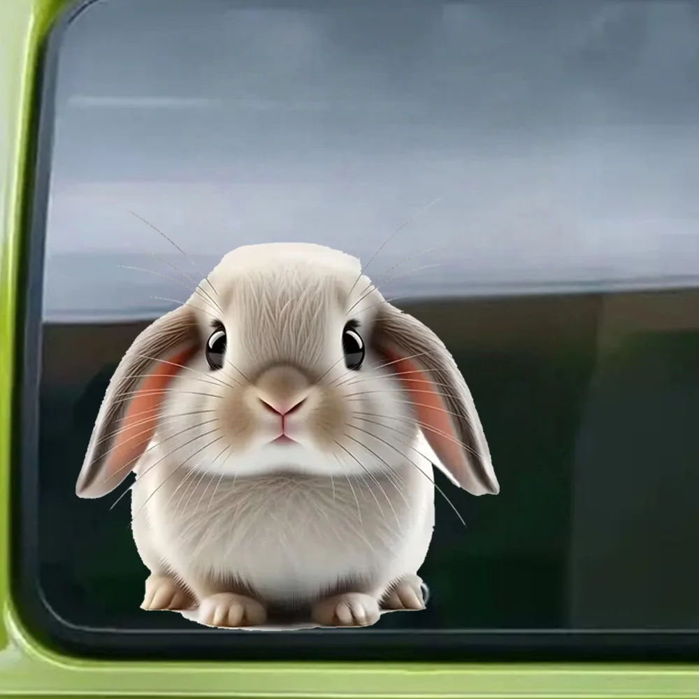 Cute Rabbit Gaze Sticker, Waterproof Car Decorative Decal, Suitable for Cars, Laptops, Bumpers, Helmets, Glass Window Sticker
Cute Rabbit Gaze Sticker, Waterproof Car Decorative Decal, Suitable for Cars, Laptops, Bumpers, Helmets, Glass Window Sticker