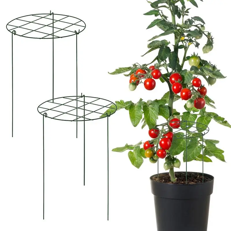 Trellis For Potted Plants 3 Pieces Stable Iron Plant Trellis Reusable Gardening Supplies For Potted Plants Planter Propagation
Trellis For Potted Plants 3 Pieces Stable Iron Plant Trellis Reusable Gardening Supplies For Potted Plants Planter Propagation