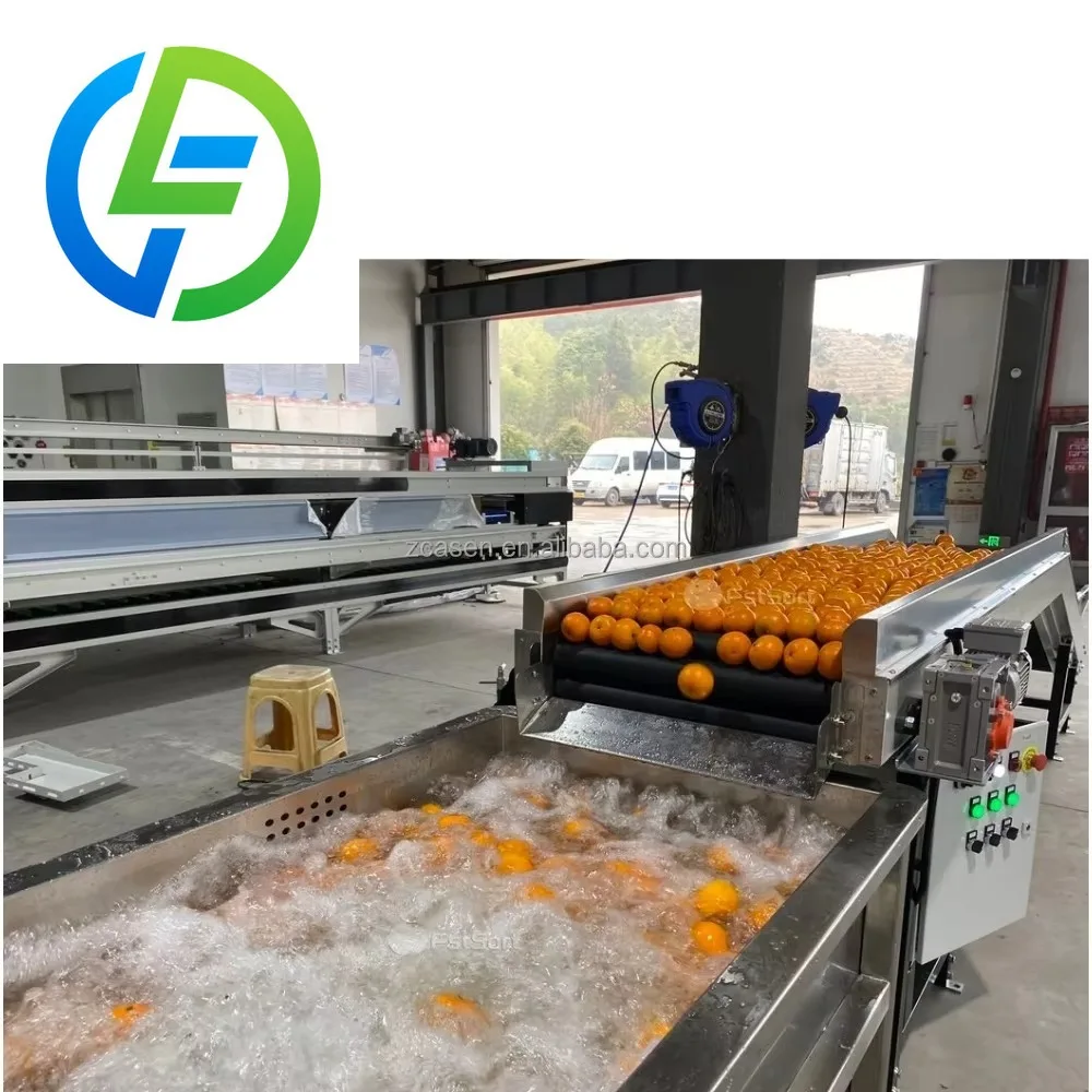 Strawberry Potato Cherry Washing Machine Fruit Washers Sorting Processing Vegetables Cleaning Equipment
Strawberry Potato Cherry Washing Machine Fruit Washers Sorting Processing Vegetables Cleaning Equipment