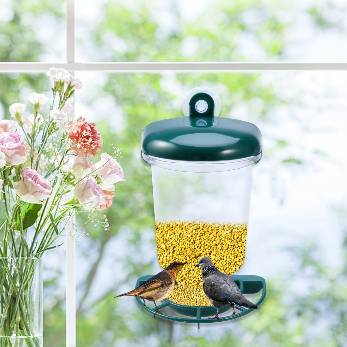 Bird Feeder Birdfeeder Window Flat Tray Feeding Station Automatic Clear Funny View No Mess
Bird Feeder Birdfeeder Window Flat Tray Feeding Station Automatic Clear Funny View No Mess
